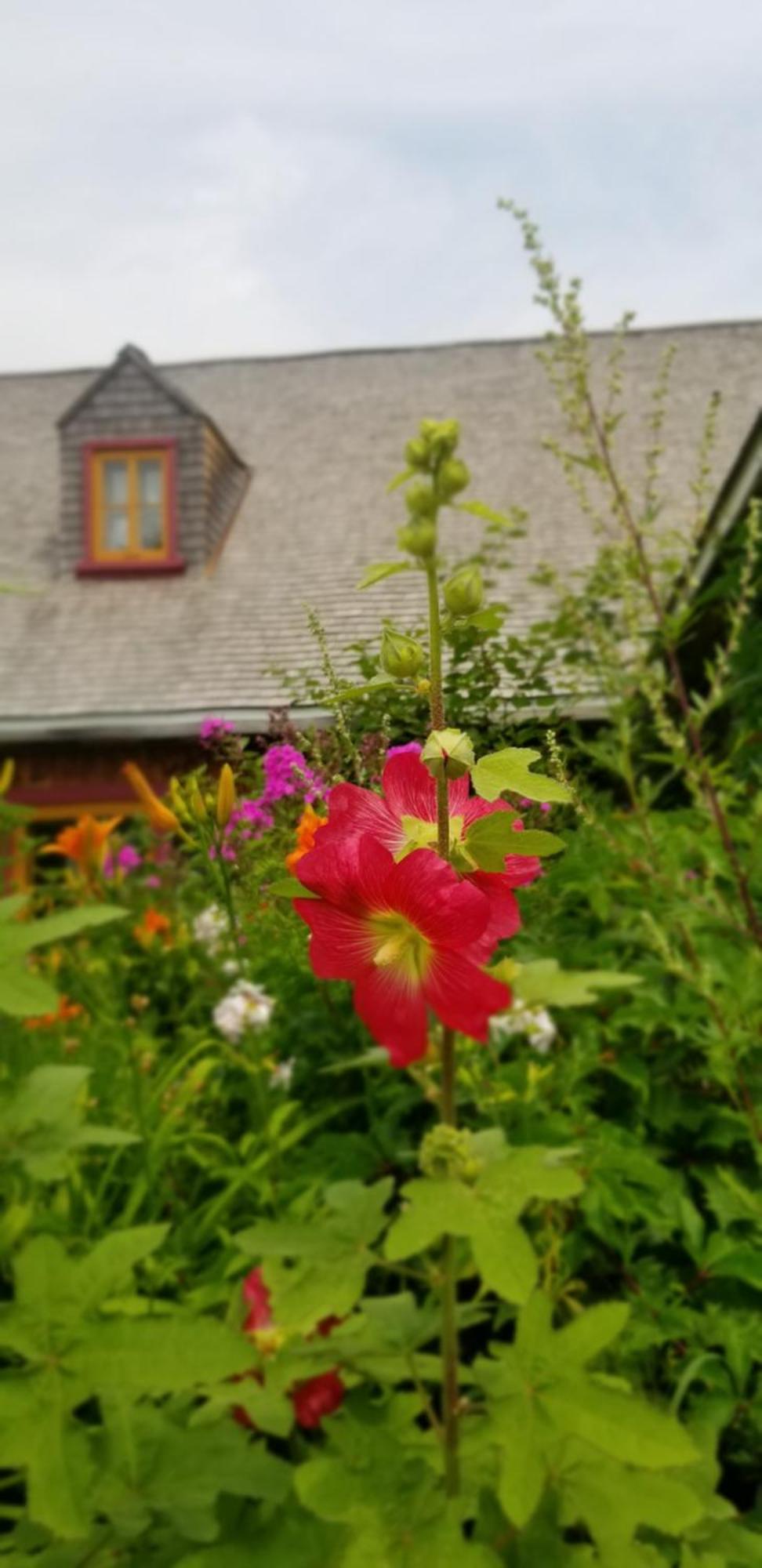 Auberge Le P'Tit Bonheur Saint-Laurent-de-l'ile d'Orleans Zewnętrze zdjęcie