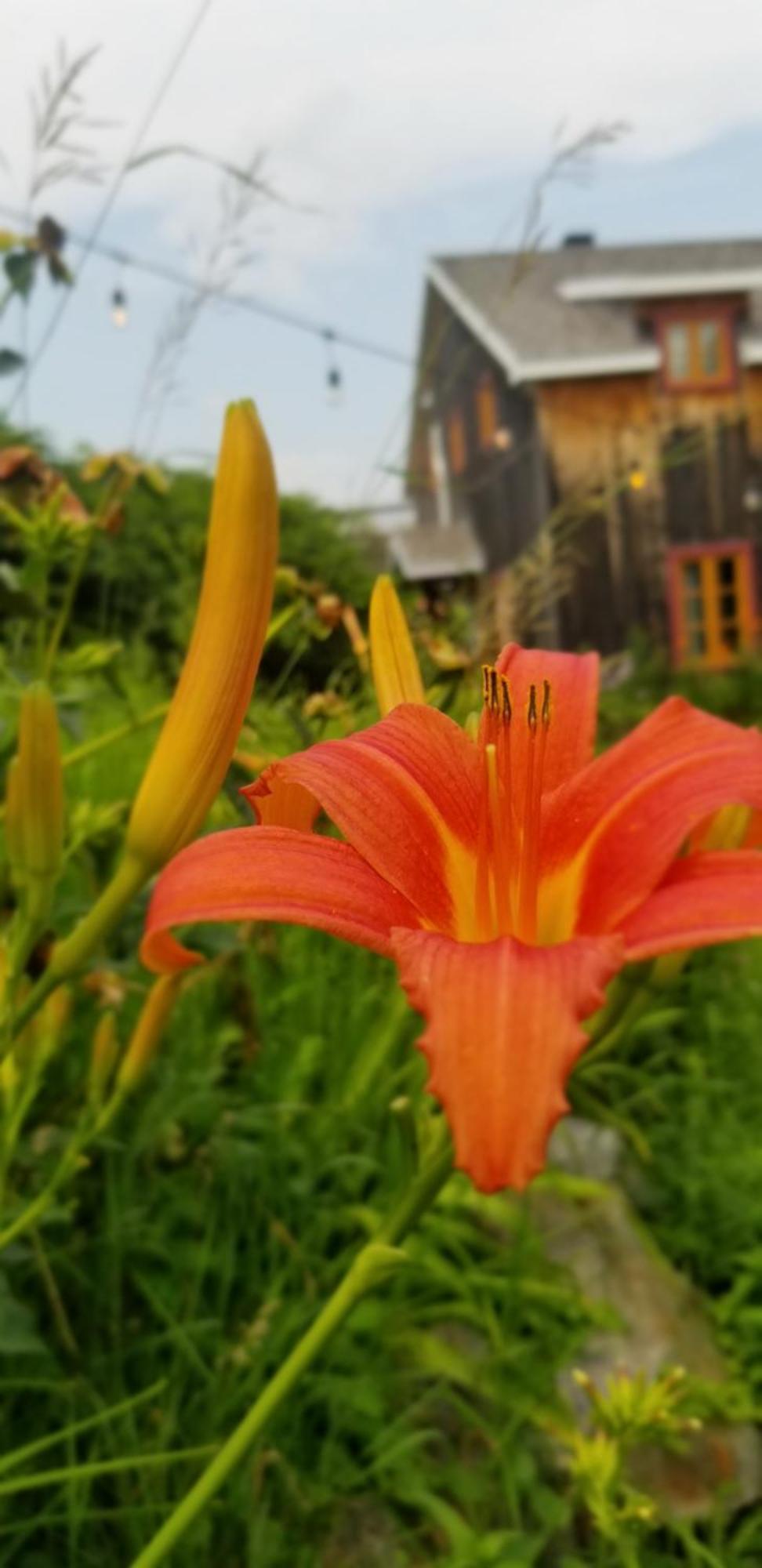 Auberge Le P'Tit Bonheur Saint-Laurent-de-l'ile d'Orleans Zewnętrze zdjęcie