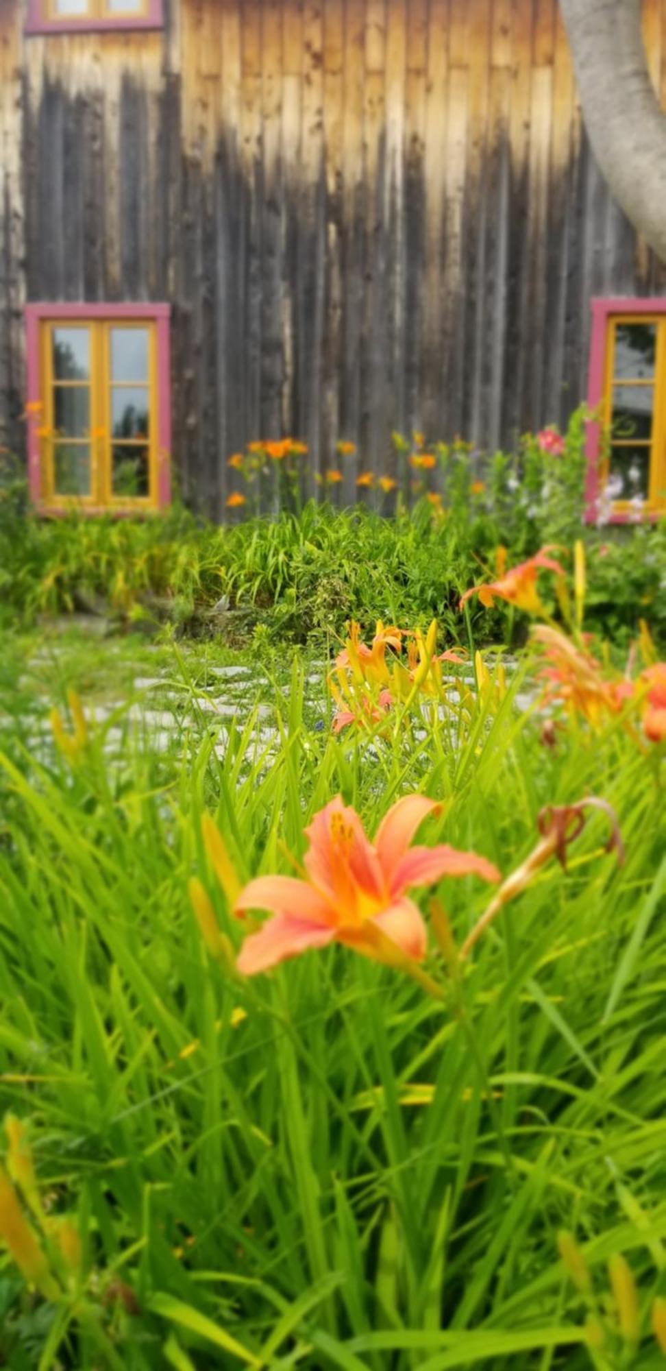 Auberge Le P'Tit Bonheur Saint-Laurent-de-l'ile d'Orleans Zewnętrze zdjęcie